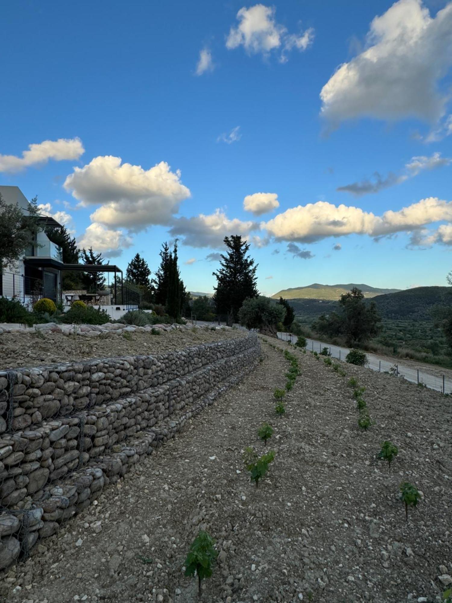 Vasiliki Houses المظهر الخارجي الصورة