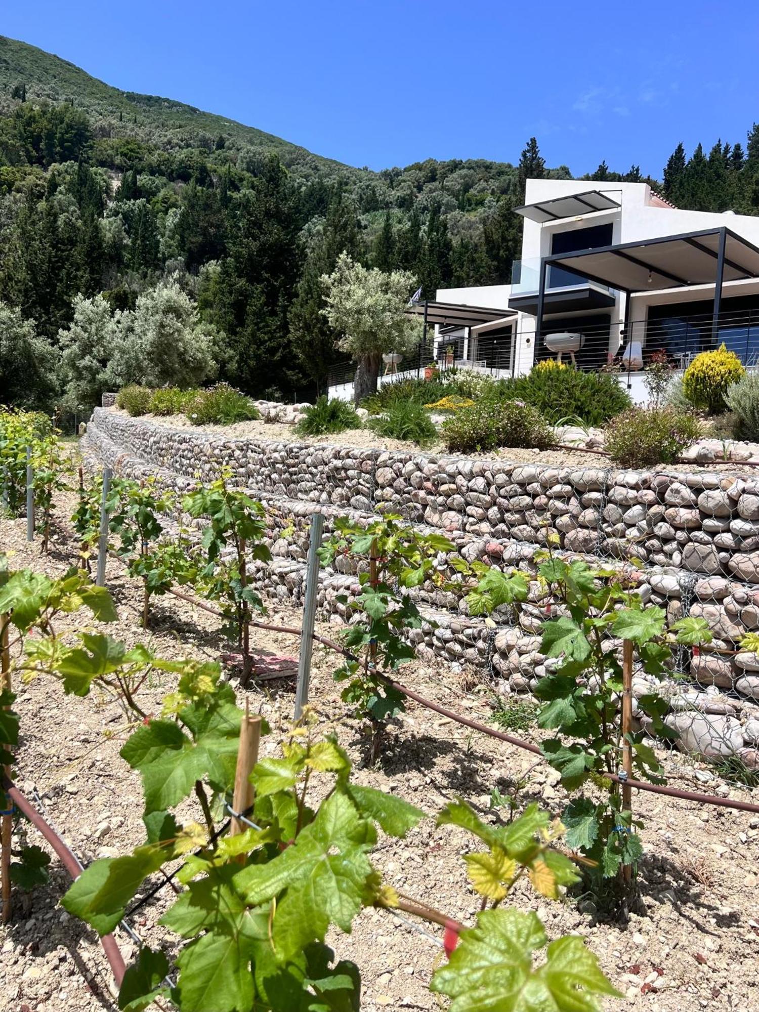Vasiliki Houses المظهر الخارجي الصورة
