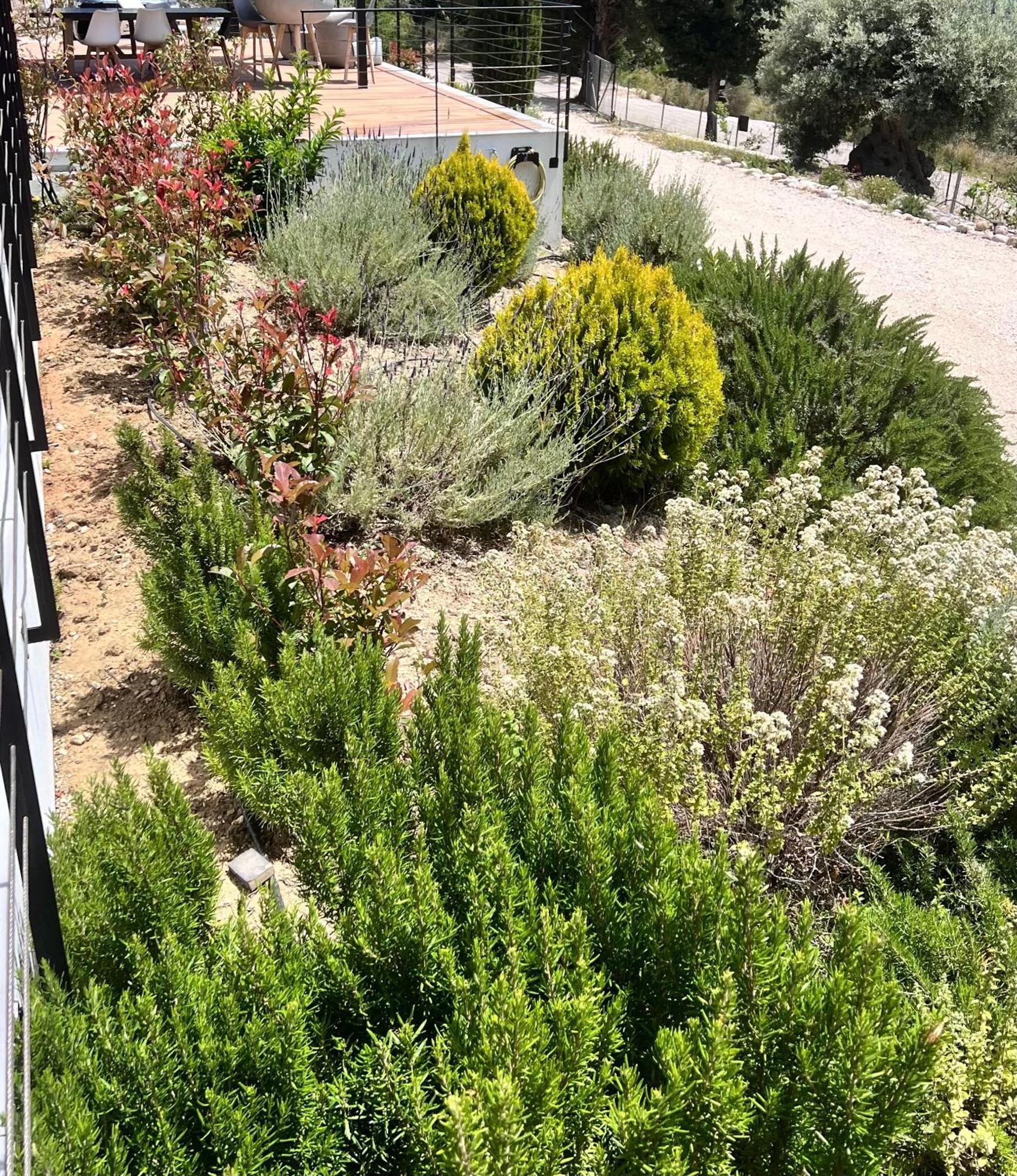 Vasiliki Houses المظهر الخارجي الصورة